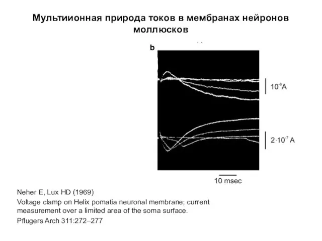 Мультиионная природа токов в мембранах нейронов моллюсков Neher E, Lux HD (1969) Voltage
