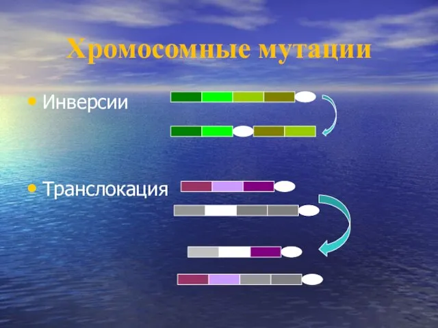 Хромосомные мутации Инверсии Транслокация