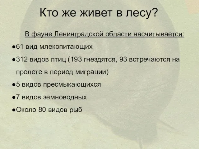 Кто же живет в лесу? В фауне Ленинградской области насчитывается: