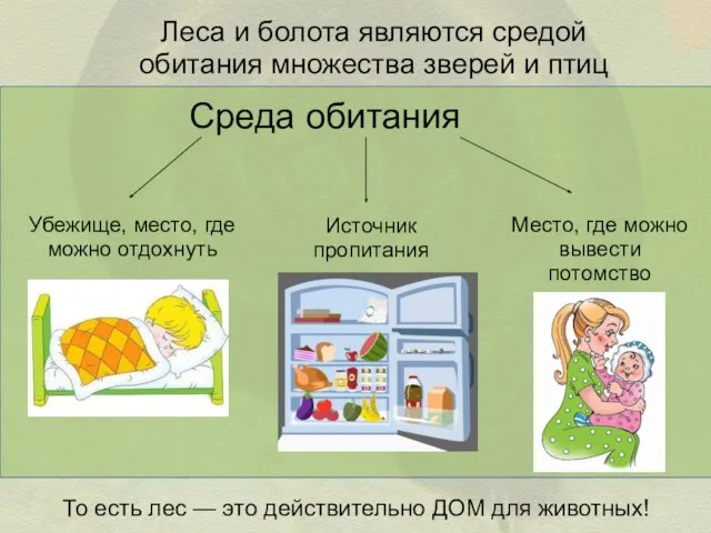 Леса и болота являются средой обитания множества зверей и птиц