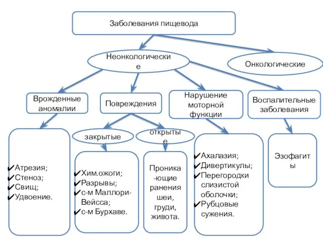 Заболевания пищевода Неонкологические Онкологические Повреждения Нарушение моторной функции Воспалительные заболевания