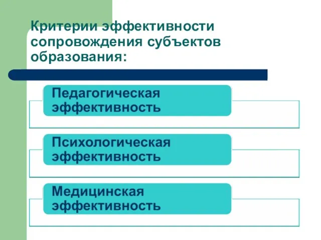 Критерии эффективности сопровождения субъектов образования: