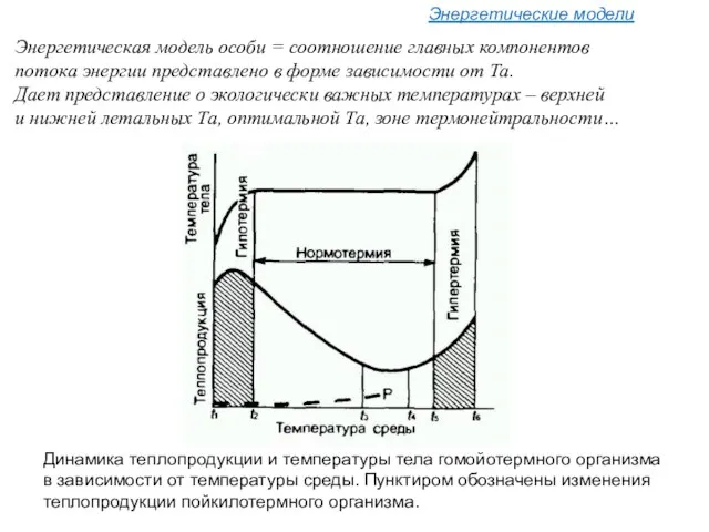 Энергетические модели