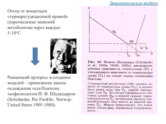 Энергетические модели