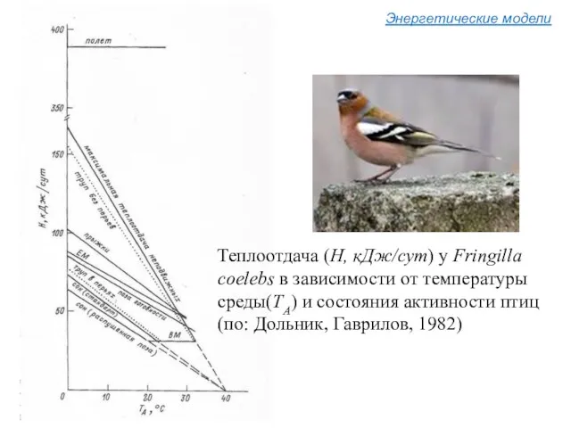 Энергетические модели