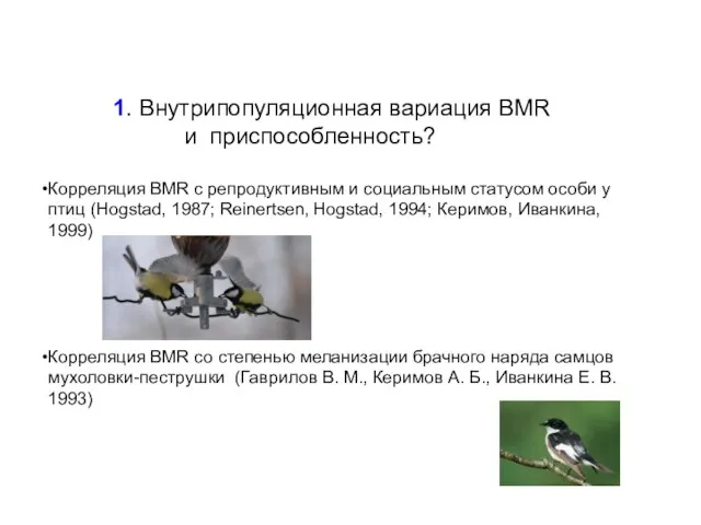 1. Внутрипопуляционная вариация BMR и приспособленность? Корреляция BMR с репродуктивным