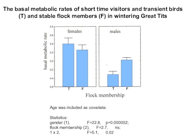 The basal metabolic rates of short time visitors and transient
