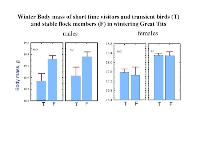 Winter Body mass of short time visitors and transient birds