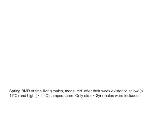 Spring BMR of free-living males, measured after their week existence