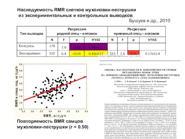 Наследуемость RMR слетков мухоловки-пеструшки из экспериментальных и контрольных выводков Бушуев