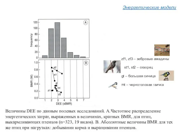 Энергетические модели