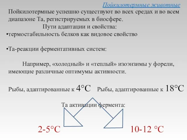 Пойкилотермные животные Пойкилотермные успешно существуют во всех средах и во