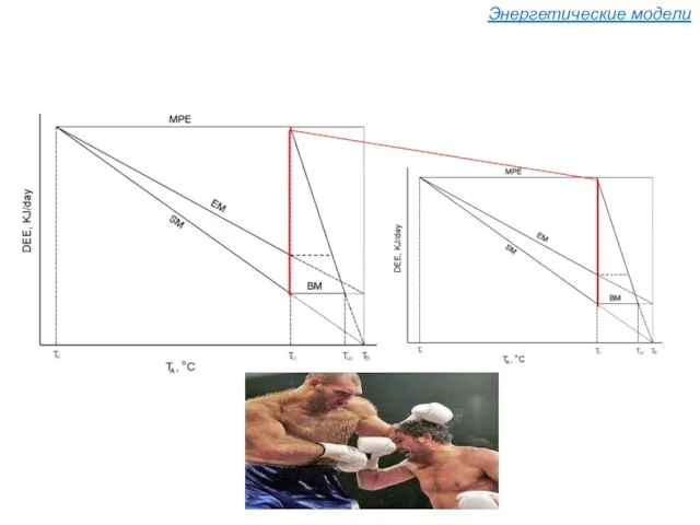 Энергетические модели