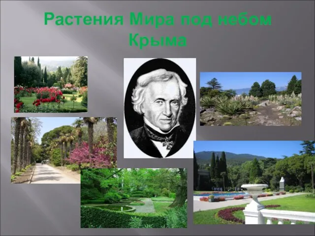 Растения Мира под небом Крыма