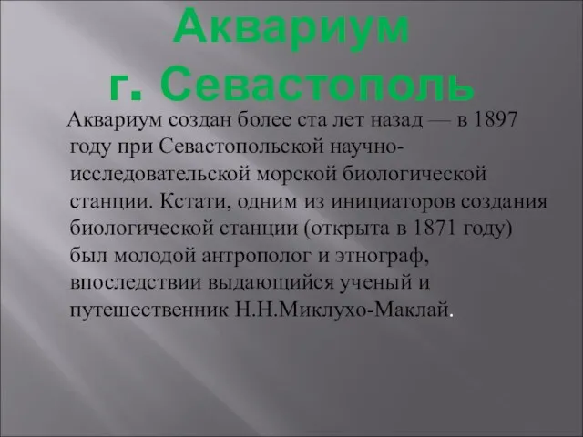 Аквариум г. Севастополь Аквариум создан более ста лет назад —
