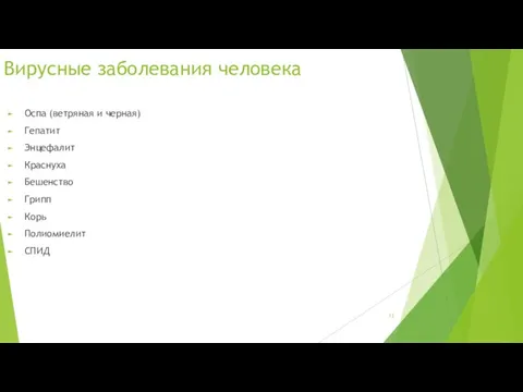 Вирусные заболевания человека Оспа (ветряная и черная) Гепатит Энцефалит Краснуха Бешенство Грипп Корь Полиомиелит СПИД