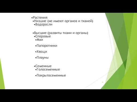 Растения Низшие (не имеют органов и тканей) Водоросли Высшие (развиты ткани и органы)