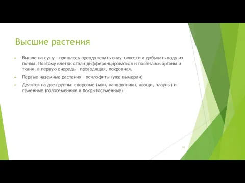 Высшие растения Вышли на сушу – пришлось преодолевать силу тяжести и добывать воду