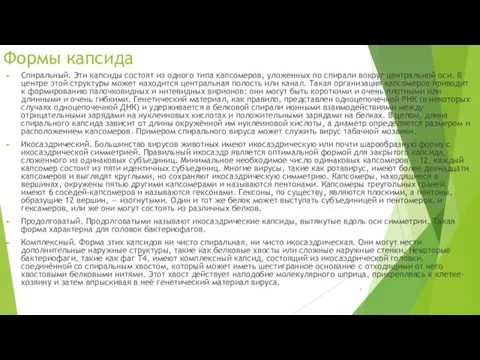 Формы капсида Спиральный. Эти капсиды состоят из одного типа капсомеров, уложенных по спирали