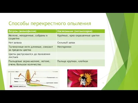 Способы перекрестного опыления