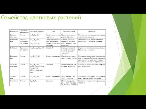 Семейства цветковых растений