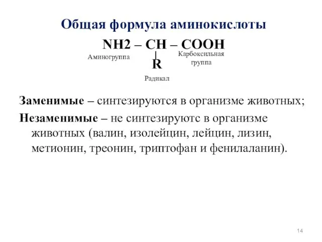 Общая формула аминокислоты NH2 – CH – COOH R Заменимые