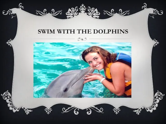 SWIM WITH THE DOLPHINS