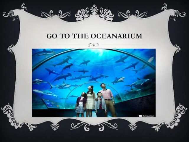 GO TO THE OCEANARIUM