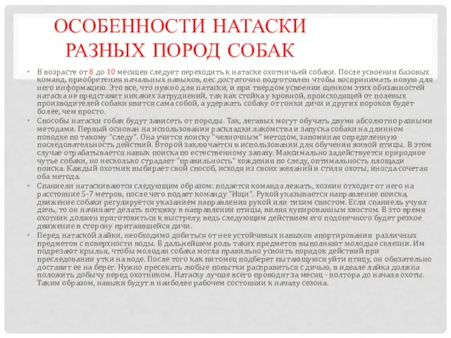 ОСОБЕННОСТИ НАТАСКИ РАЗНЫХ ПОРОД СОБАК В возрасте от 8 до 10 месяцев следует