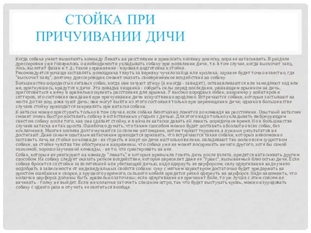 СТОЙКА ПРИ ПРИЧУИВАНИИ ДИЧИ Когда собака умеет выполнять команду Лежать