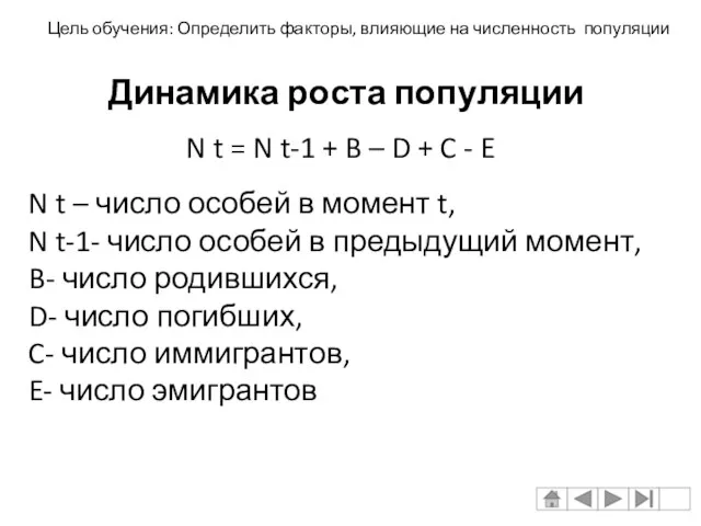 Динамика роста популяции N t = N t-1 + B