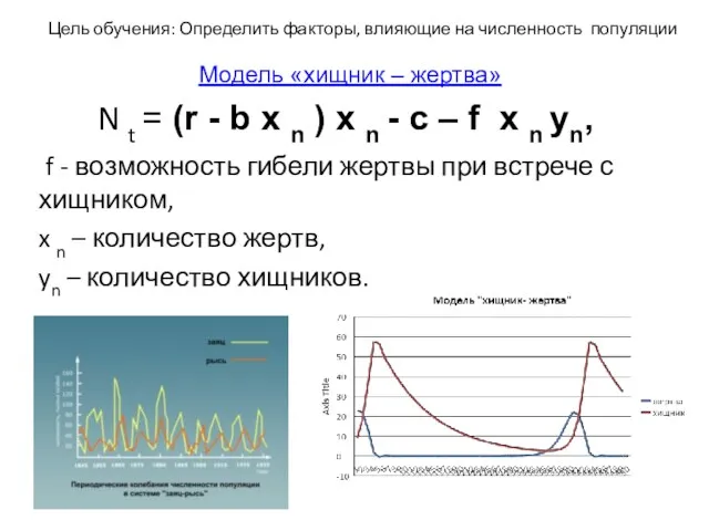 N t = (r - b x n ) x