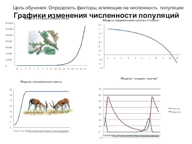 Графики изменения численности популяций Цель обучения: Определить факторы, влияющие на численность популяции