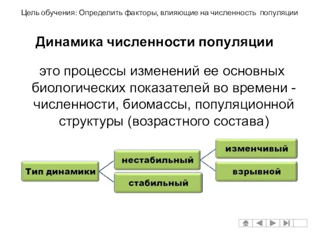 это процессы изменений ее основных биологических показателей во времени -