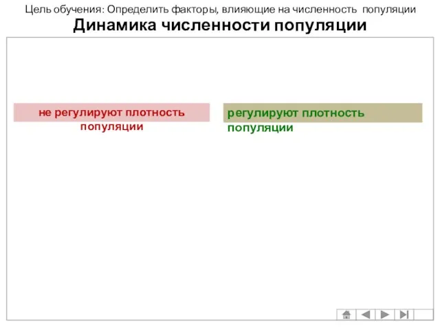 Динамика численности популяции не регулируют плотность популяции регулируют плотность популяции