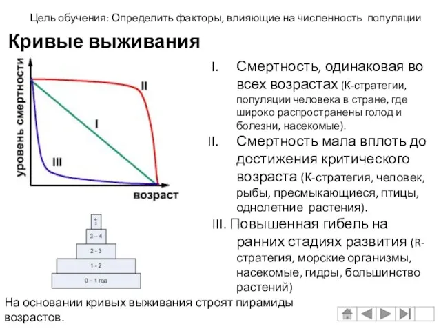 Смертность, одинаковая во всех возрастах (К-стратегии, популяции человека в стране,