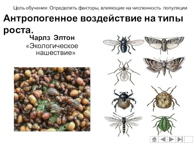 Антропогенное воздействие на типы роста. Чарлз Элтон «Экологическое нашествие» Цель