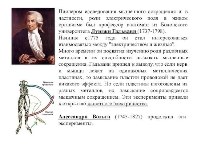 Пионером исследования мышечного сокращения и, в частности, роли электрического поля в живом организме