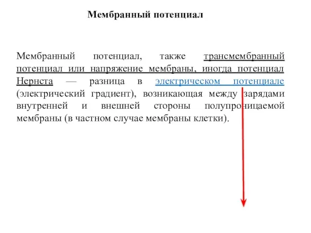 Мембранный потенциал Мембранный потенциал, также трансмембранный потенциал или напряжение мембраны, иногда потенциал Нернста