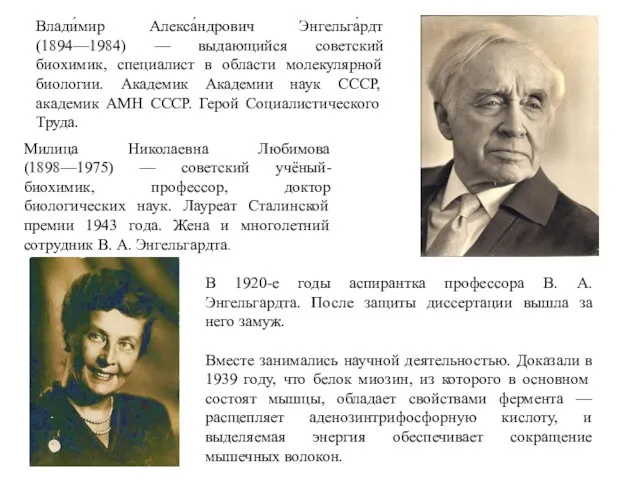 Влади́мир Алекса́ндрович Энгельга́рдт (1894—1984) — выдающийся советский биохимик, специалист в области молекулярной биологии.
