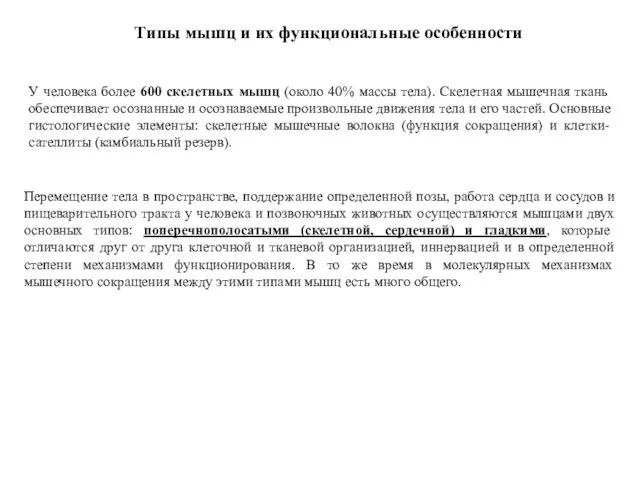 У человека более 600 скелетных мышц (около 40% массы тела). Скелетная мышечная ткань