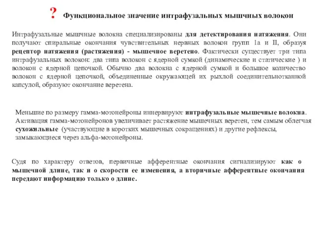 Интрафузальные мышчные волокна специализированы для детектирования натяжения. Они получают спиральные окончания чувствительных нервных