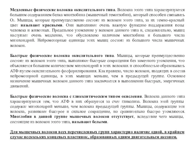 Медленные фазические волокна окислительного типа. Волокна этого типа характеризуются большим содержанием белка миоглобина