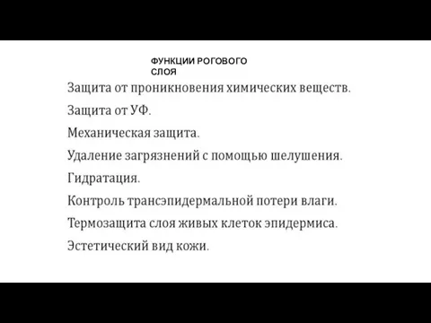 ФУНКЦИИ РОГОВОГО СЛОЯ