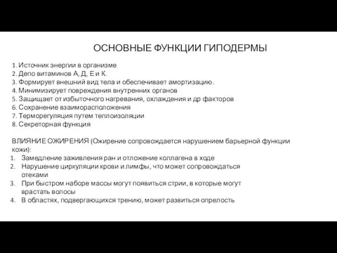 ОСНОВНЫЕ ФУНКЦИИ ГИПОДЕРМЫ 1. Источник энергии в организме 2. Депо витаминов А, Д,