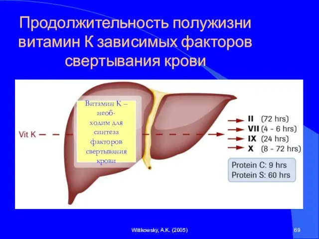 Wittkowsky, A.K. (2005) Продолжительность полужизни витамин К зависимых факторов свертывания