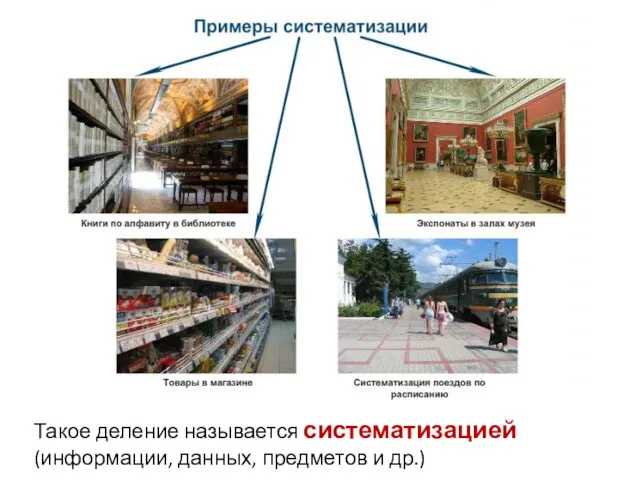 Такое деление называется систематизацией (информации, данных, предметов и др.)