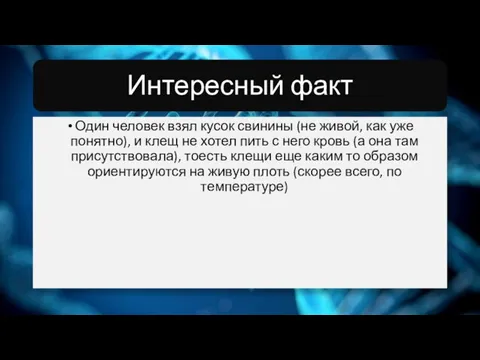 Один человек взял кусок свинины (не живой, как уже понятно), и клещ не