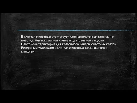 В клетках животных отсутствует плотная клеточная стенка, нет пластид. Нет в животной клетке