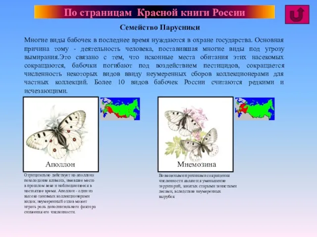 По страницам Красной книги России Многие виды бабочек в последнее